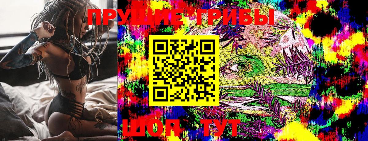 Псилоцибиновые грибы Psilocybe  Вход с VPN  Шатура 