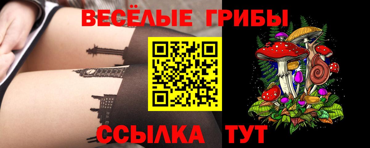 Галлюциногенные грибы Cubensis Шатура